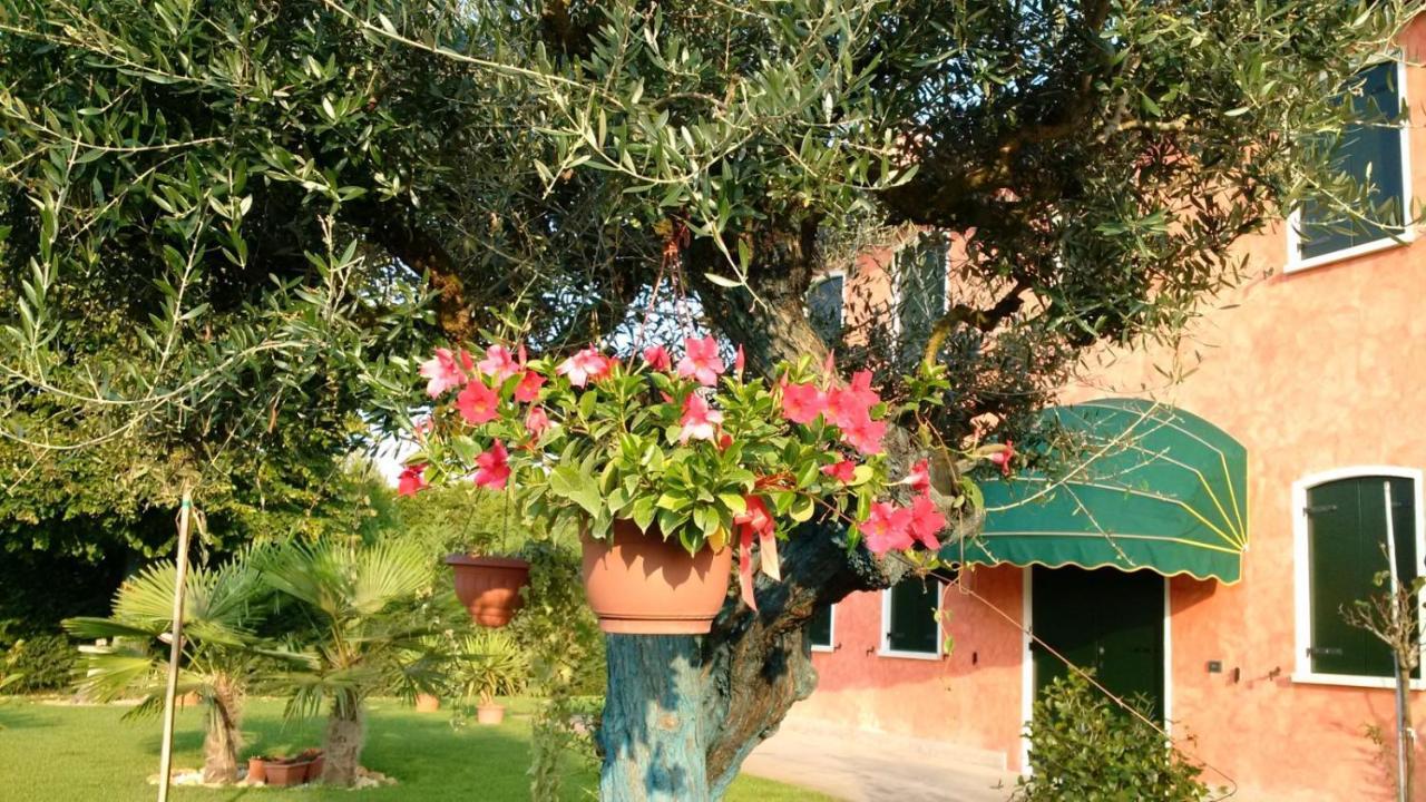 Bed and Breakfast Il Farfasole à Vigonovo  Extérieur photo