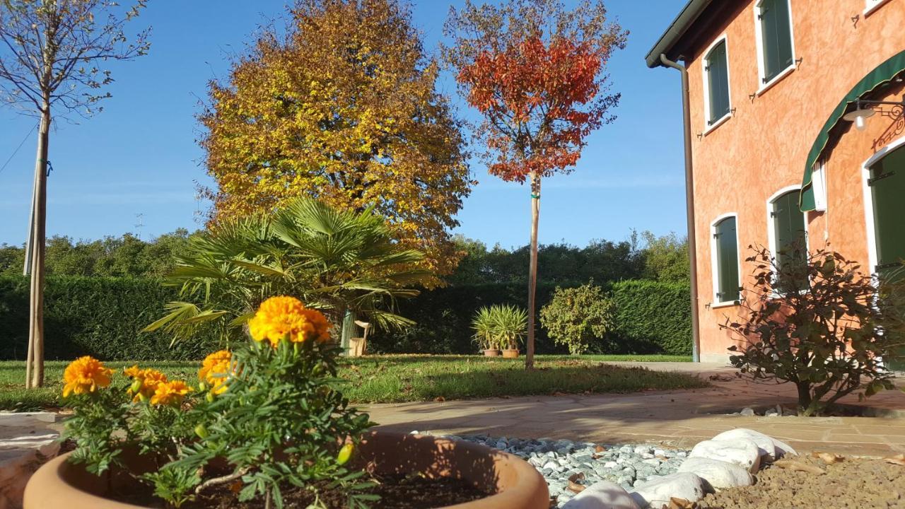 Bed and Breakfast Il Farfasole à Vigonovo  Extérieur photo